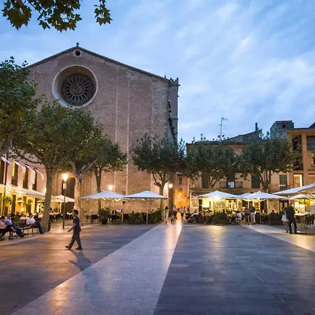 - 35111 Mallorca Alcudia (Mallorca)